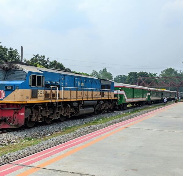 creative digital web platform