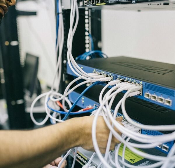 digital network web engine