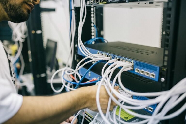 digital network web engine