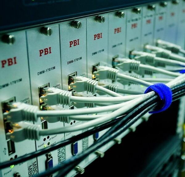 dynamic web network engine